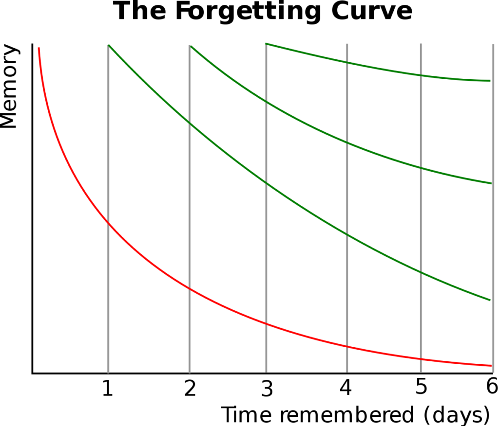 spanish lessons
spanish teacher
spanish vocabulary
forgetting curve